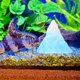 thumbnail image 3 of Modelo Floeberg de simulación de pecera de montañas de hielo para acuario, 2 uds., para pecera de tortuga, 3 of 6