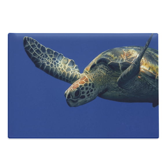 Turtle Cutting Board, Close up Photo of Green Turtle at Sipadan Borneo Malaysia Animal Under the Sea, Decorative Tempered Glass Cutting and Serving Board, Large Size, Blue Yellow, by Ambesonne
