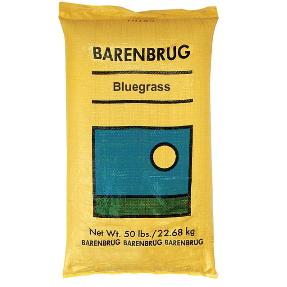 BARENBRUG USA 491123 50 lb Pro Bluegrass Seed