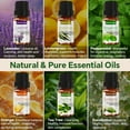 thumbnail image 5 of OrientLeaf Essential Oils Sets, 100% Pure Essential Oil for Diffuser, Aromatherapy, Sleep, Massage & DIY, Gift Sets for Women with Greeting Card, 5 of 10