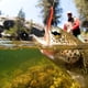 thumbnail image 1 of Cebo de señuelo, 6 piezas HENG JIA 10,5 cm/5,6 g Juego de señuelos de pesca Cebo de pesca Eficiencia óptima, 1 of 9