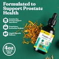 thumbnail image 2 of Rejuvica Health Prostavec - Prostate Support Supplement for Men 2 fl oz - Contains Saw Palmetto, 2 of 8
