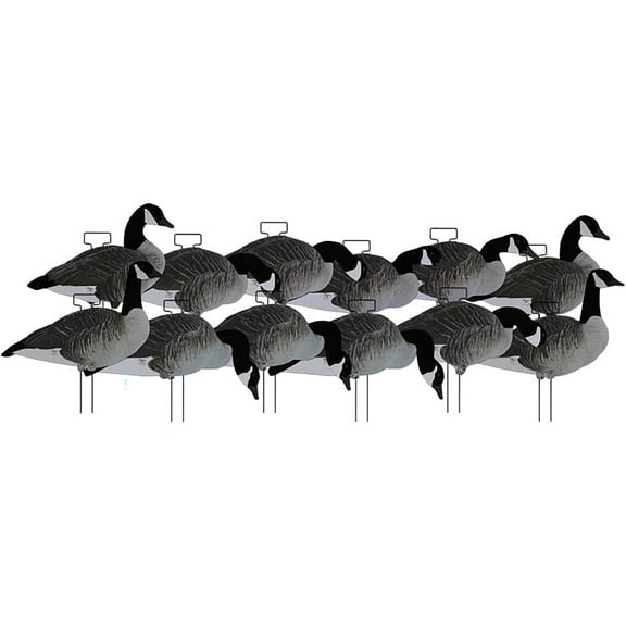 Dakota Decoys X-treme Silhouette Canada Goose Decoys 12PK