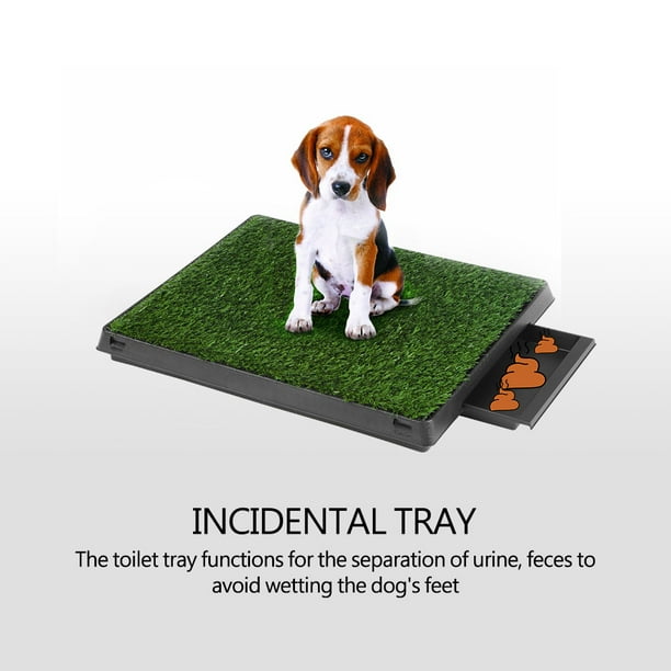 Potty grass for dogs cheap walmart