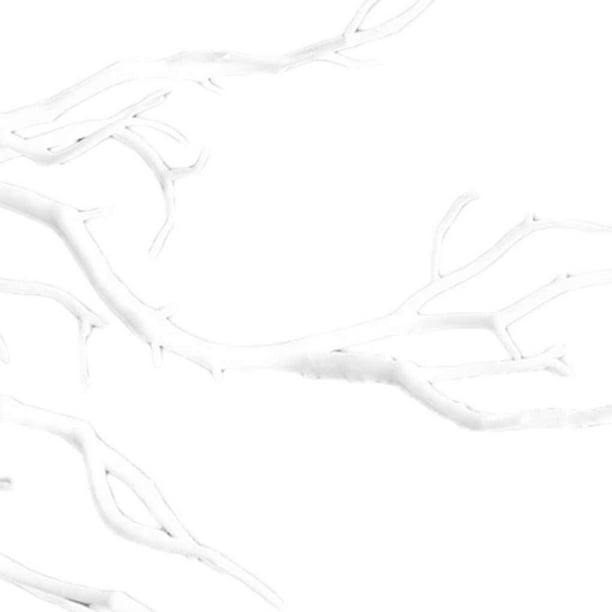 White Tree Branch