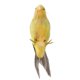 thumbnail image 4 of Adornos de pajaritos artificiales 5 '' Taxidermia Árbol # 11 Gloria Pájaros de la pluma, 4 of 7