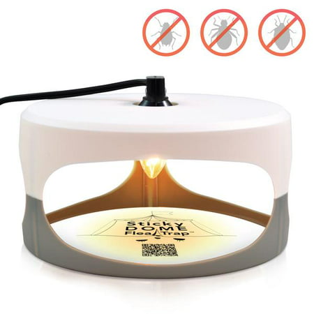 Indoor Plug-in Sticky Flea Trap with Light and Heat Attracter (Includes 2-Adhesive Glue-Boards) / Get Rid of All Fleas, Bed Bugs, Flies, Etc. - For Residential and Commercial (Best Way Get Rid Of Fleas On Dog)