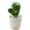 type:style1;, variant on Artificial small tropical plant simulation cactus bonsai artificial simulation potted plant - type:style1;