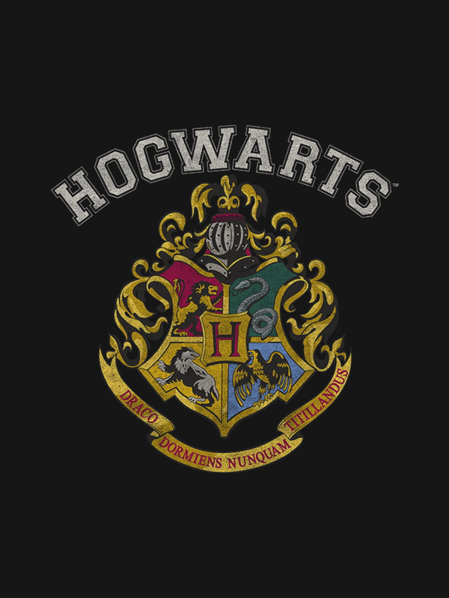 Warner Bros. Harry Potter Hogwarts Girls Short Sleeve Graphic T-Shirt, Sizes 4-16