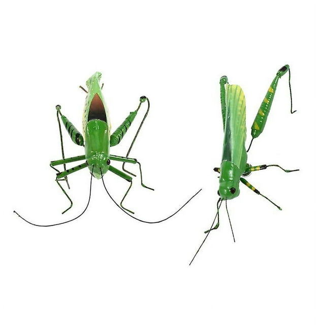 2 adornos de saltamontes.