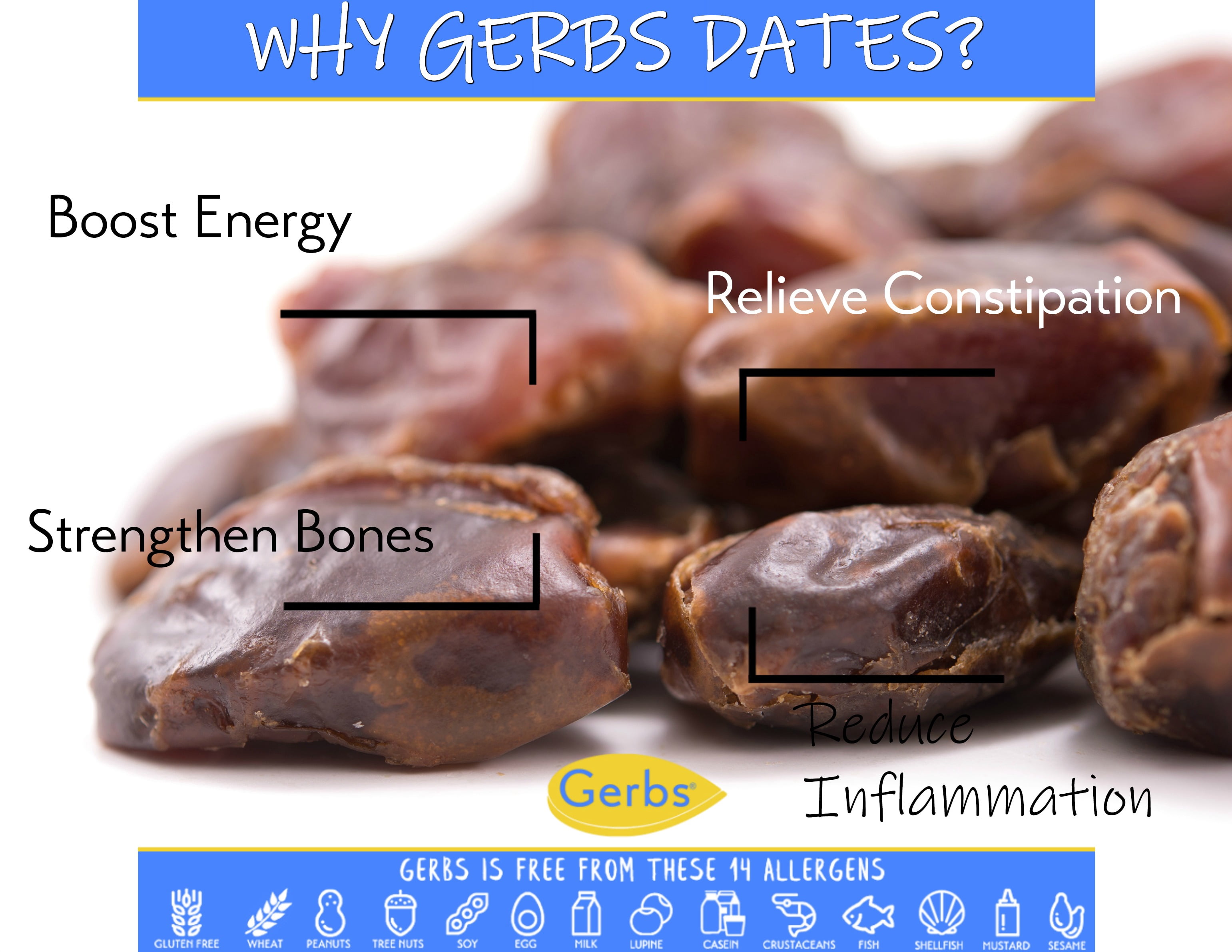 Gerbs Dried Araya Dates 2 lbs | Unsulfured, Pitted, Resealable Bag | Naturally Sweet & Fiber-Rich | Top 14 Allergen-Free