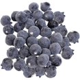 thumbnail image 1 of 50pcs Fake Blueberry Lifelike Blueberries Simulation Realistic Blue Berries Props, 1 of 4