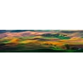 thumbnail image 2 of Zhu, Hua 24x10 Gold Ornate Wood Framed with Double Matting Museum Art Print Titled - The Palouse, 2 of 4