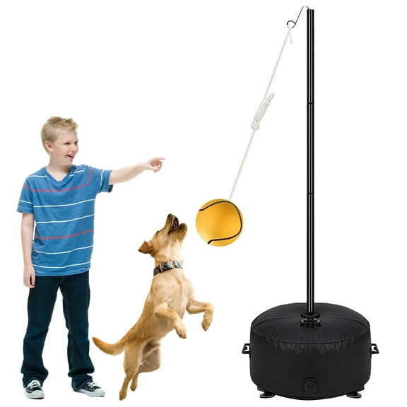 Tethered Ball Set Portable Indoor Outdoor with Adjustable Height