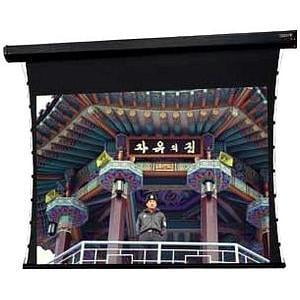 Tensioned Cosmopolitan Electrol Projection Screen