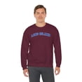 thumbnail image 6 of Long Island New York Sweatshirt Gifts Crew Neck Shirt Long Sleeve Unisex, 6 of 7