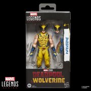 Marvel Legends Series Wolverine, Marvel Studios' Deadpool & Wolverine 6 Action Figure