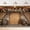 Barn, variant on Rustic Barn Door Wedding Backdrop Country Farmhouse Pink Flower Bridal Shower Western Engagement Ceremony Party Decorations Banner Supplies Photo Booth Props