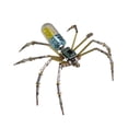 thumbnail image 4 of Kit de manualidades con modelo de araña mecánica, decoración novedosa de escena, adorno de escritorio, decoración de araña de metal, montaje DIY para Azul, 4 of 7
