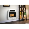 thumbnail image 4 of Dyna-Glo 30,000 BTU Natural Gas Infrared Vent Free Thermostatic Wall Heater, 4 of 7