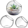 thumbnail image 1 of Healeved 3Pcs Glass Bubble Terrarium Containers - Clear Round Vases, Glass Planters for Decoration, 1 of 8