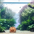 thumbnail image 4 of FENGGUIQU Cueva Decorativa De Calabaza Para Acuario Refugio Para Peces Y Camarones, 4 of 7