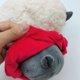 thumbnail image 4 of Plush Toy,PP Material Short Plush Cool Soft Doll Toy Doll Gift for Kids, 4 of 4