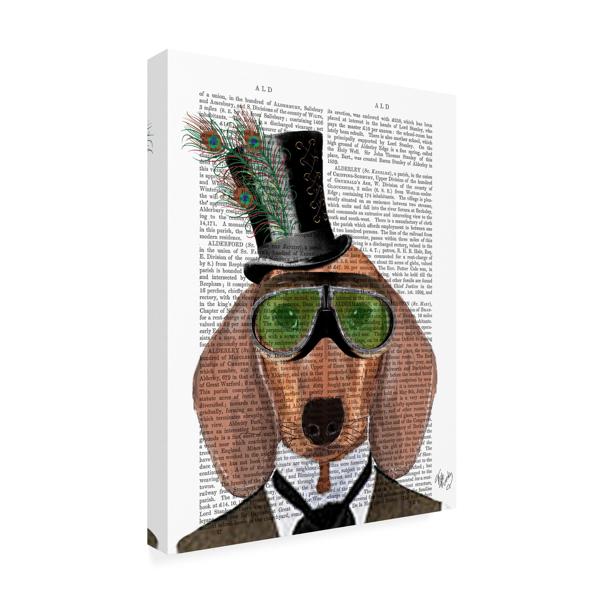 Trademark Fine Art 'Dachshund, Green Goggles Top Hat' Canvas Art by Fab Funky