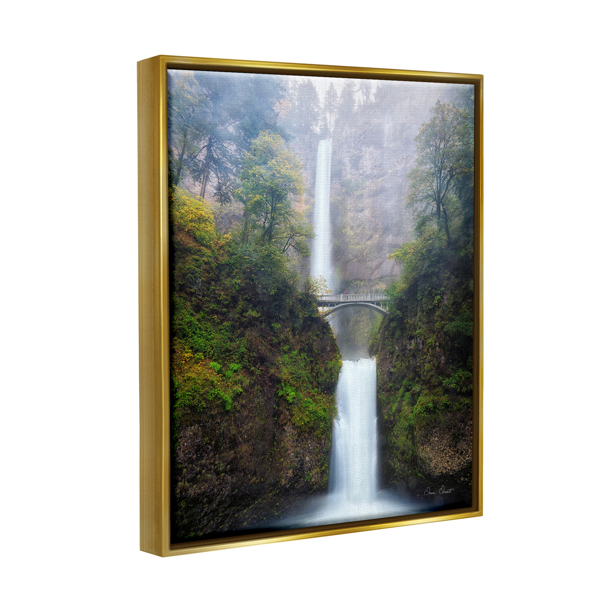 Stupell Industries Waterfall Bridge Photography Nature Photography Gold Floater Framed Art Print Wall Art, 17 x 21