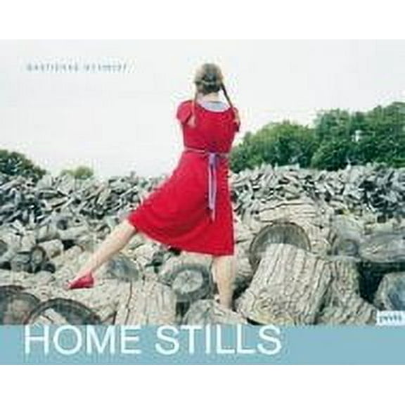Bastienne Schmidt: Home Stills: Bastienne Schmidt (Hardcover)