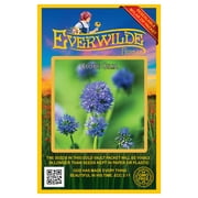 Everwilde Farms - 2000 Globe Gilia Native Wildflower Seeds - Gold Vault Jumbo Bulk Seed Packet
