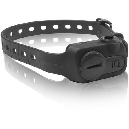 Dogtra Iq No Bark Dog Collar Review Dogtra Iq No Bark Dog Collar Review