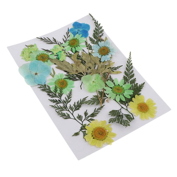 de 25 vias flores secas de natural múltiples Hojas uñas te tesanía Jabón hecho a mano Ve Resina Material Macarena Flores secas prensadas naturales