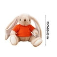 thumbnail image 3 of Bowayaoa Easter Bunny Rabbit Stuffed Animal, 9" Bunny Plush with Floppy Ears, Huggable & Washable, Baby Stuffed Animals Plush Toy for Girls Boys Kids Friends Easter Birthday Gifts, 3 of 5
