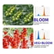 thumbnail image 5 of Lámpara de crecimiento de plantas de tablero Lámpara para plantas suculentas en macetas LED 216 Especificaciones del Reino Unido Lámpara para plantar Lámpara para plantas de invernadero Akmoler, 5 of 9