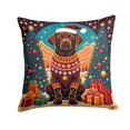 thumbnail image 2 of Chocolate Labrador Retriever Christmas Fabric Decorative Pillow 14 in x 14 in, 2 of 2