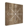 thumbnail image 2 of Trademark Fine Art 'Barnwood Wonderland I' Canvas Art by June Erica Vess, 2 of 4