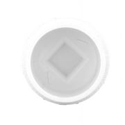 Charlotte Pipe Schedule 40 4 in. Spigot FPT PVC Cleanout Adapter