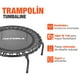 thumbnail image 2 of Trampolín Fitness Profesional Premium Altera Compacto 30 Ligas 150Kg, 2 of 8
