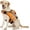 Orange, variant on Kuoser Dog Life Jacket with Reflective Stripes, Adjustable Dog Life Vest, Red, M