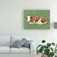 thumbnail image 3 of Trademark Fine Art 'How Now Brown Cow I' Canvas Art by Emma Scarvey, 3 of 3