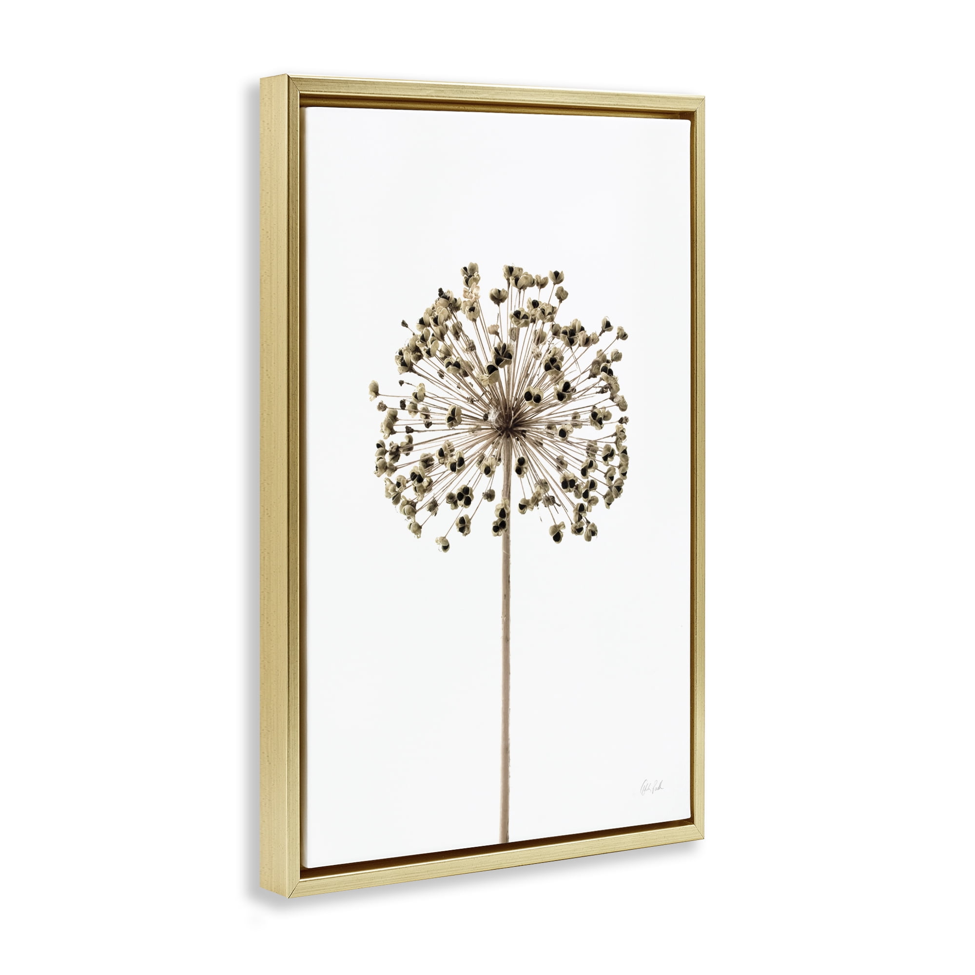 Stupell Industries Minimal Allium Bud Plants & Flowers Painting Gold Floater Framed Canvas Art Print Wall Art, 17 x 25