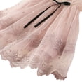 thumbnail image 4 of Girls Mesh Tulle Party Dress Princess Lace Ball Gown 2-8 Years Old, 4 of 9