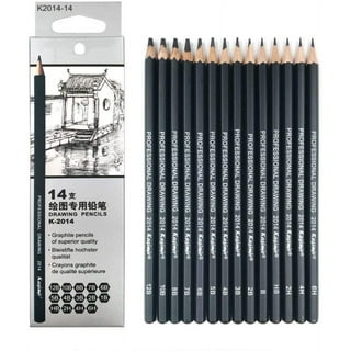 12 Sketching Artist Pencils Drawing Soft Hard Assorted Graphite Graded 6B  to 6H 