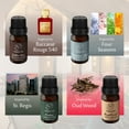 thumbnail image 4 of Scent Aura IV Fragrance Oil Set of 4 - Luxury Hotel & Designer Collection Diffuser oil Scents| Candle Making Supplies Holiday Gift Set | Diffuser Essential Oils, 4 of 5