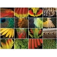 thumbnail image 3 of Buffalo Games 1000-Piece National Geographic Feathered Fantasies Interlocking Jigsaw Puzzle, 3 of 5