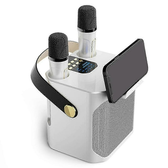 High Power Karaoke Bluetooth Speaker Portable 360 Stereo Surround Wireless Subwoofer with Dual Micr