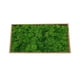 thumbnail image 2 of Musgo artificial Wosthever de flores preservadas color Amarillo Verde claro Verde Turquesa Naranja, 2 of 6