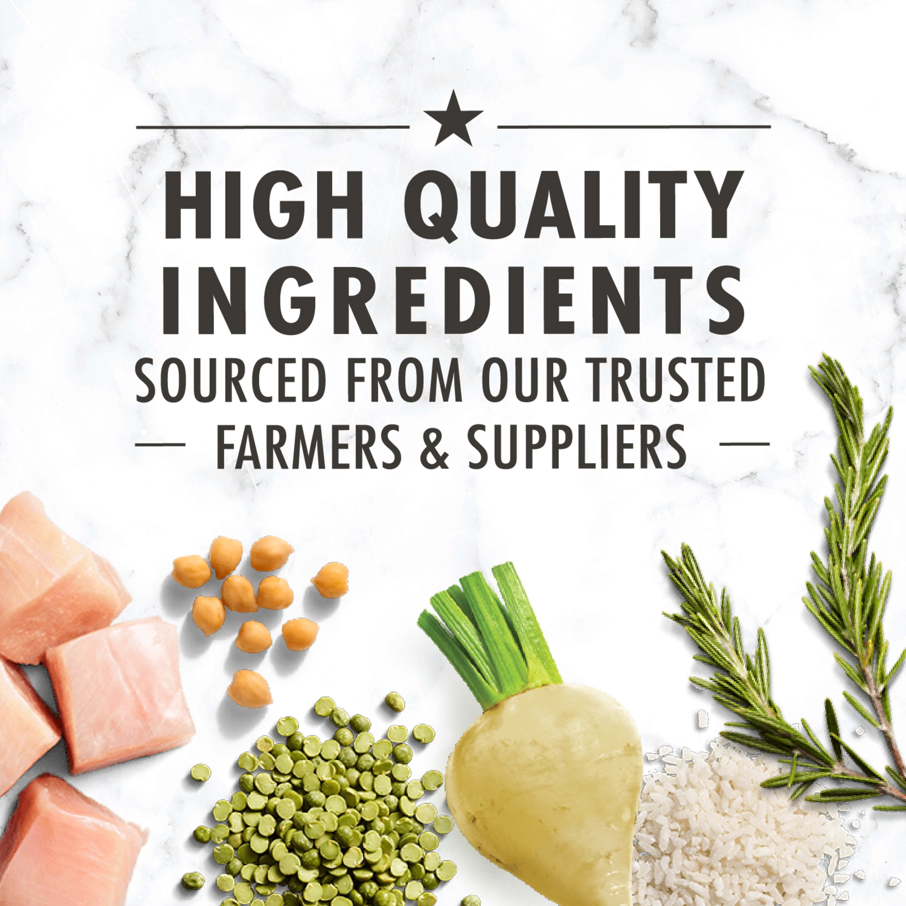 Nutro Wholesome Essentials Natural Chicken Rice Peas Dry Cat