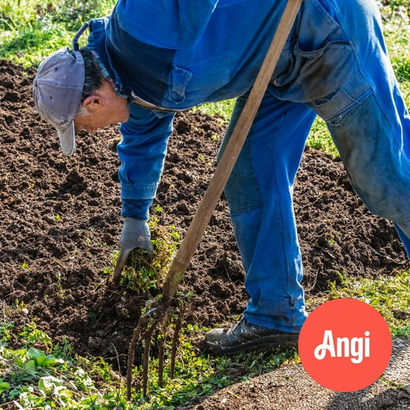 Weed Removal Services